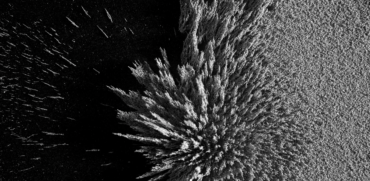 Life Scientific Synapse ferofluide