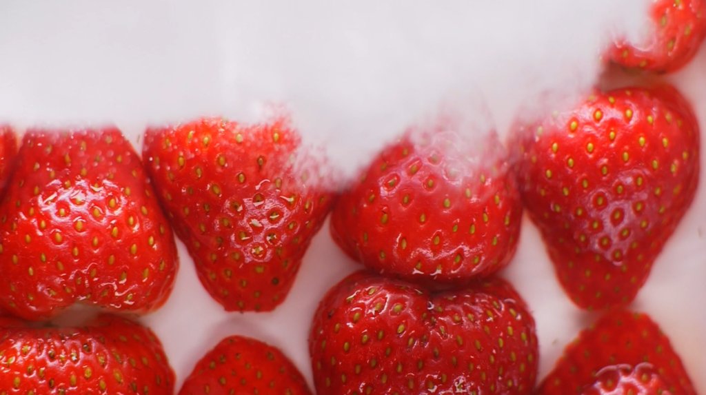 4 seasons film fraises recouvertes de sucre glace